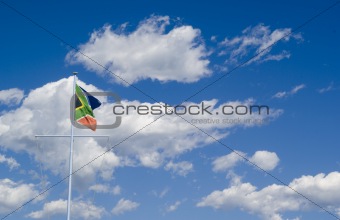 South african flag