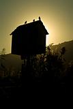 bird house in dusk