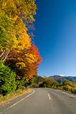 Japanese Country Road