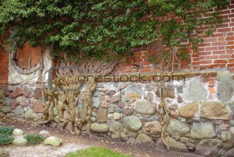 roots on castle stones