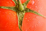 Tomato close up.