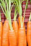 Carrot close up.