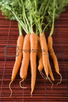 Carrot still life.