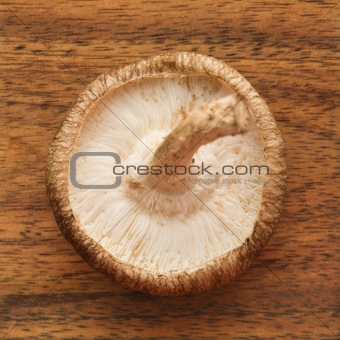Shiitake mushroom.