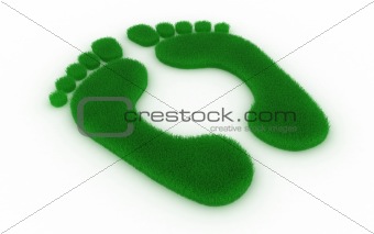 Footprint from grass