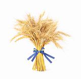 Wheat with bow