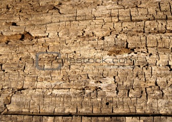Wood texture
