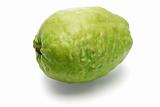 Green guava fruit