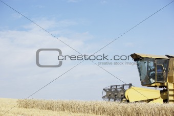 Combine Harvester Working In Field