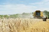 Combine Harvester Working In Field