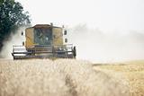 Combine Harvester Working In Field