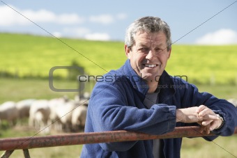 Farm Worker With Flock Of Sheep