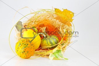 Autumn's basket