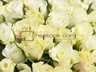 Bunch Of Cream Roses