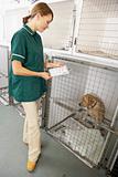 Vetinary Nurse Checking Sick Animals In Pens