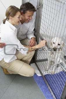 Couple Visiting Pet Dog