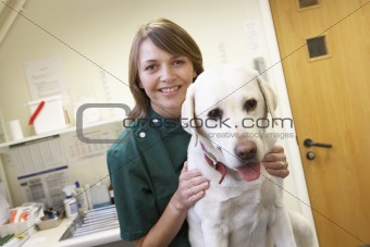 Vet With Dog In Surgery
