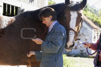 Vet Examining Horse With Stethescope