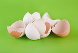 Group pieces of egg shell(4).jpg