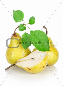 Three pears with leaves(4).jpg