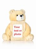 Teddy bear with photo frame(4).jpg