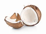 Two parts of a coconut(4).jpg
