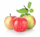 Three ripe apples isolated(5).jpg