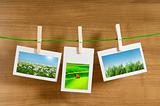 Nature photos in picture frames