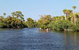 Kayakers on the Loxahatchee River