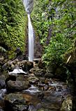 Waterfall on a stream in a tropcial forest in Tahiti