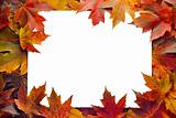Fall Maple Leaves Border