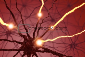 Nerve Cell Pulse