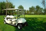 Golf cart 