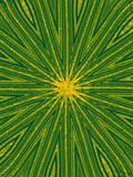 Abstract green yellow