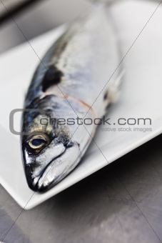 Fish on a plate