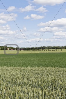 Farm view