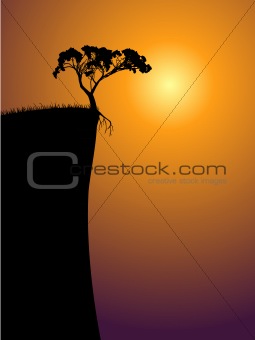 lonely-tree-above-precipice(11).jpg