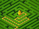 green maze success