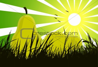 pears on grass