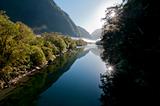 Milford Track - Early Morning