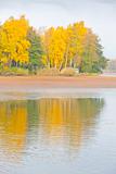 autumnal pond, Czech Republic