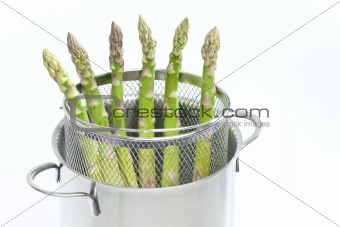 green asparagus in pot