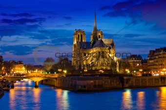 Notre Dame Cathedral at night in Paris France