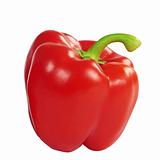 red paprika with Clipping Path