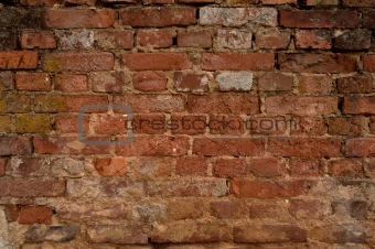 Aged Brick Wall