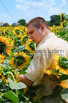 Farmer in a sunflower field