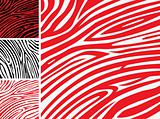 Red and white zebra skin - animal print or pattern collection

