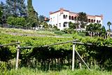 Italian charming villa in vineyard