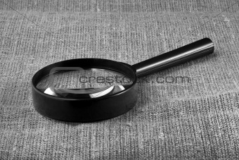 Magnifying glass on a flax