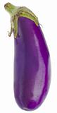 Vibrant Purple Organic Eggplant